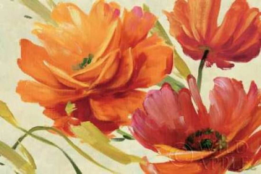 Flamboyant III Canvas Art - Lisa Audit (24 x 36)