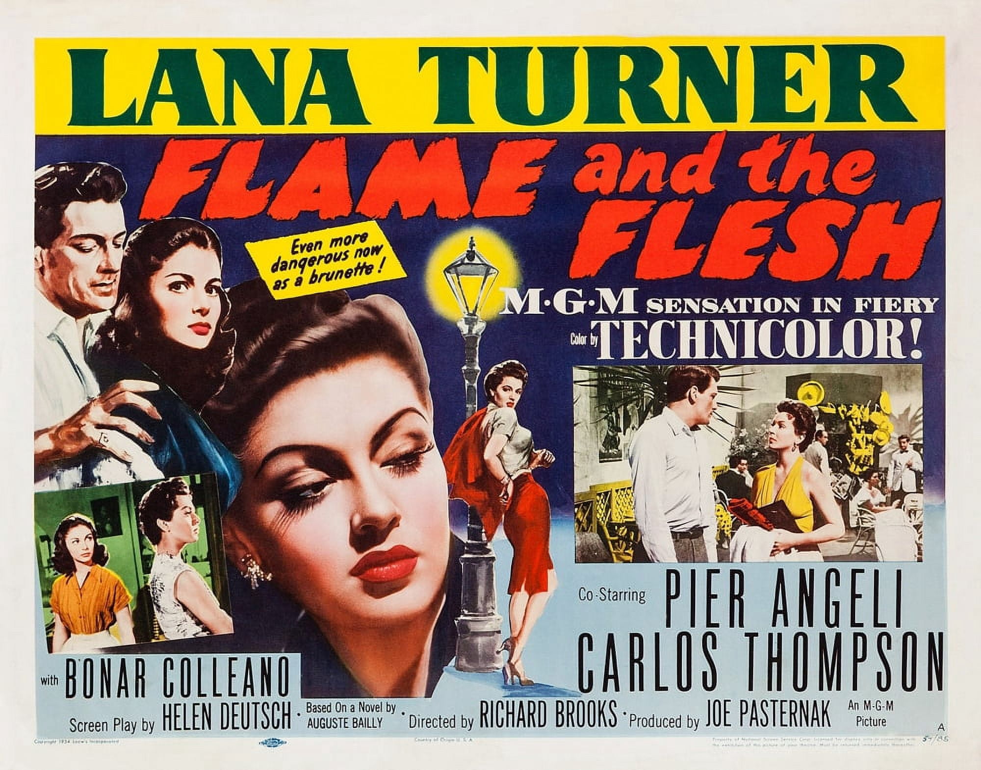 Flame And The Flesh U Canvas Art - (28 x 22)