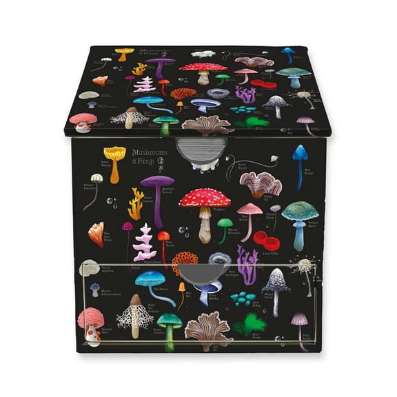 Flame Tree Stud Anna Stead: Mushrooms & Fungi Memo Box with Drawer (Flame Tree Memo (Paperback)