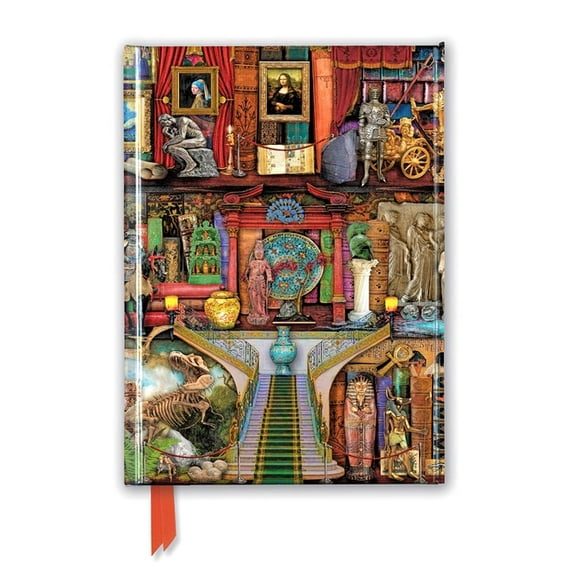 Flame Tree Notebooks: Aimee Stewart: Museum Bookshelves (Foiled Journal) (Notebook / blank book)