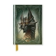 thumbnail image 1 of Flame Tree Pocket Notebooks: Kerem Beyit: Black Dragon (Foiled Pocket Journal) (Hardcover), 1 of 1