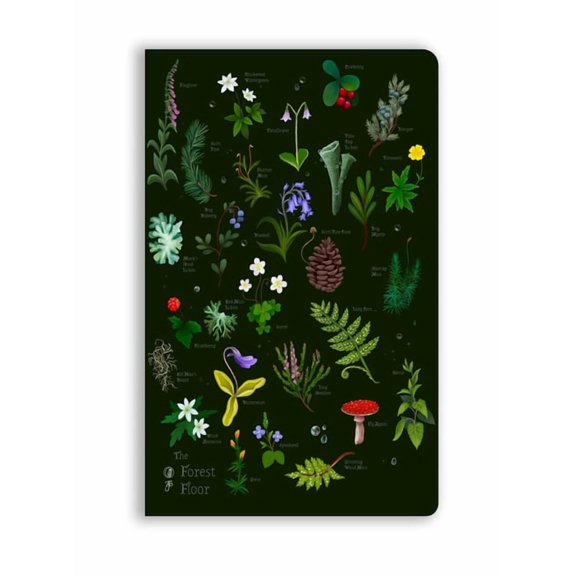 Flame Tree Soft Touch Journals Anna Stead: The Forest Floor (Soft Touch Journal), (Hardcover)