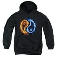 thumbnail image 1 of - Flame Yang - Youth Hooded Sweatshirt - Medium, 1 of 2