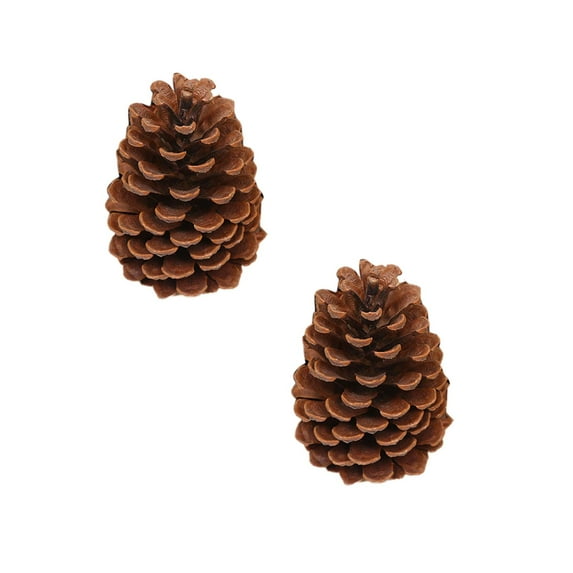 Flameless Candles With Timer Battery Operated Flickering Wick Real Wax Candles For Holiday Indoor Desktop Ornament Easy To Use