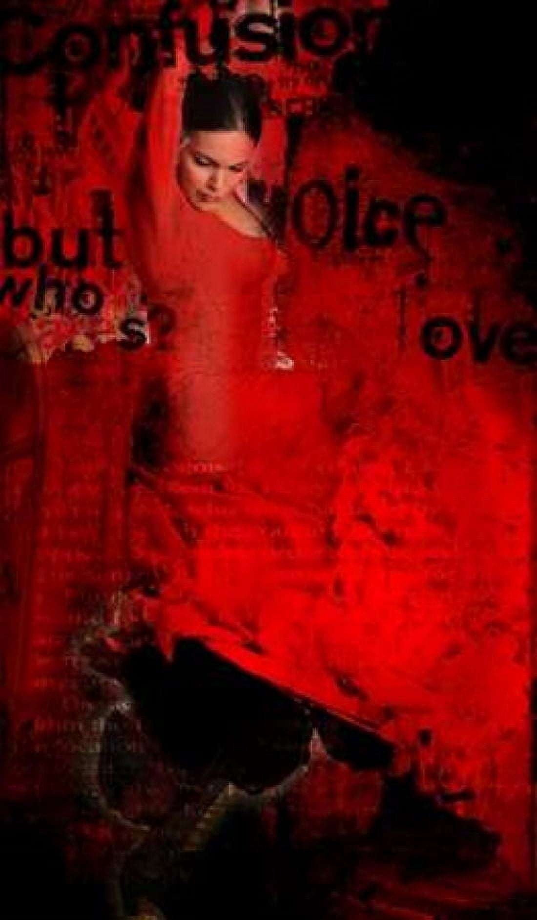 Flamenco Canvas Art - Micha Baker (12 x 18)