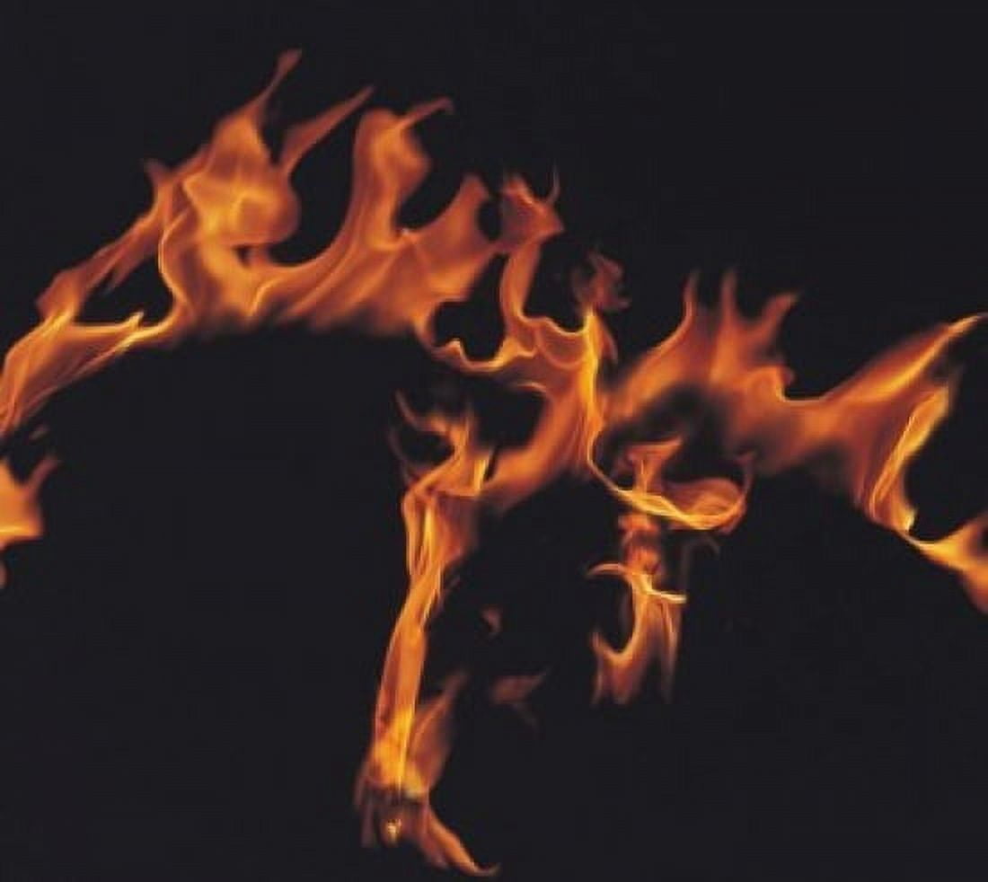 Flames Canvas Art - Panoramic Images (16 x 15)