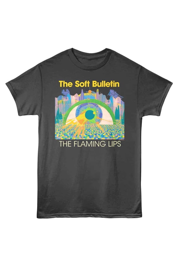 Flaming Lips Soft Bulletin Men's T Shirt (Charcoal, AdultM)