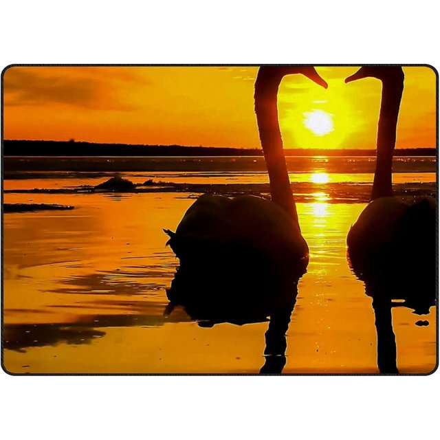 Flamingo Birds Sunset Indoor Doormat NonSlip Front Door