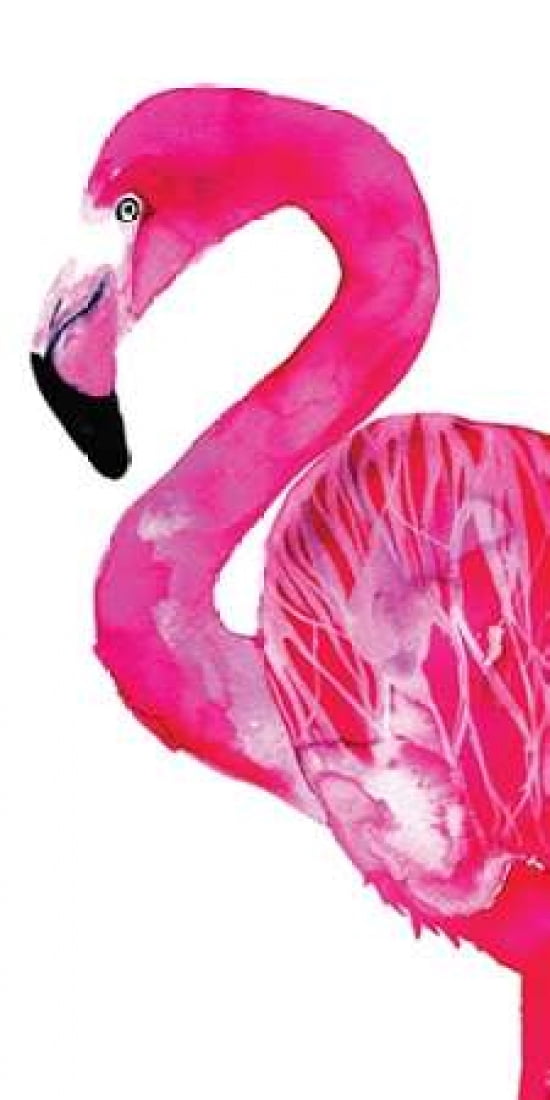Flamingo Canvas Art - Sofie Rolfsdotter (24 x 48)