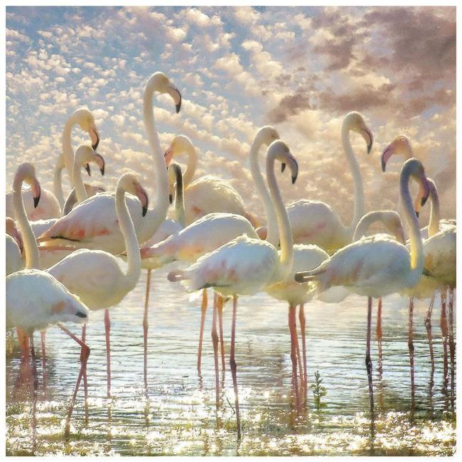 Flamingo Flair Large Frameless Tempered Glass Wall Art