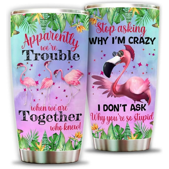 Flamingo Gifts For Women, Stop Asking Why I'M Crazy Flamingo Tumbler 20Oz, Beach Vacation Flamingo Coffee Cup Mug, Pink Flamingo Lovers Mothers Day Gifts, Flamingo Stuff, Flamingo Items