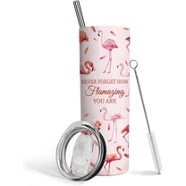 Flamingo Gifts for Women Flamingo Decor,20oz Tumbler with Lid and Straw,Insulated Stainless Steel Travel Mug Coffee Cup