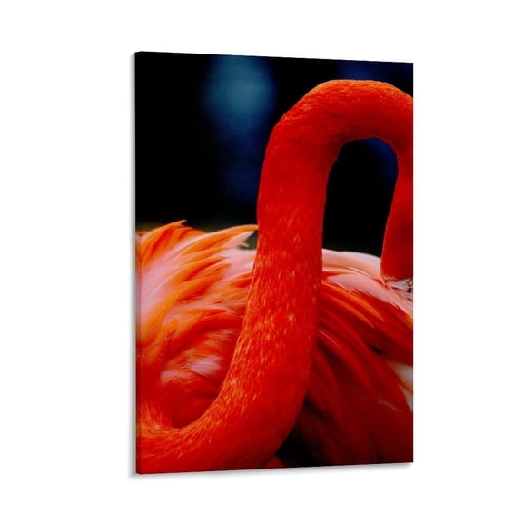 Flamingo Grooming Itself, Dark Background, Bold Silhouette, Canvas Art with Frame (2:3 Ratio), 12x8 in