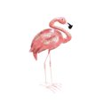 thumbnail image 1 of Flamingo Iron Decor, 1 of 2