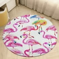 thumbnail image 1 of Flamingo Pattern Floral Medallion Round Rug - Small Round Area Rug, Soft Non-Slip Machine Washable Bedroom Mat Indoor Accent Entry Carpet for Office Desk Dorm Hallway, 1 of 6