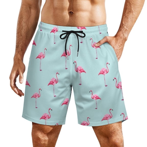 Flamingo Pattern Mint OceanMen’s Beach Shorts Quick Dry Swim Trunks, Lightweight Board Shorts with Elastic Waist for Swimming, Pool, Vacation and Summer Beachwear