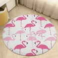 thumbnail image 1 of Flamingo Pattern Round Rugs -Washable Non-Slip Small Round Area Rug Throw Soft Circle Rugs for Bedroom, Modern Print Indoor Carpet for Entryway Sofa Living Room, 1 of 6