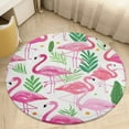 thumbnail image 1 of Flamingo Pattern Round Rugs -Washable Non-Slip Small Round Area Rug Throw Soft Circle Rugs for Bedroom, Modern Print Indoor Carpet for Entryway Sofa Living Room, 1 of 6