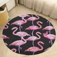 thumbnail image 1 of Flamingo Pattern Round Small Area Rug, Print Non Slip Washable Floor Mat, Soft Throw Rug for Living Room, Powder Room Entryway, Bathroom, Bedside, 1 of 6