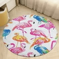 thumbnail image 1 of Flamingo Pattern Soft Bedroom Round Area Rug, Washable Cute Nursery Circle Throw Mat, Non-Slip Contemporary Small Low Pile Floor Carpet for Dorm Bedside, 1 of 6
