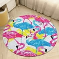 thumbnail image 1 of Flamingo Pattern Soft Bedroom Round Area Rug, Washable Cute Nursery Circle Throw Mat, Non-Slip Contemporary Small Low Pile Floor Carpet for Dorm Bedside, 1 of 6