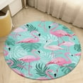 thumbnail image 1 of Flamingo Pattern Soft Bedroom Round Area Rug, Washable Cute Nursery Circle Throw Mat, Non-Slip Contemporary Small Low Pile Floor Carpet for Dorm Bedside, 1 of 6