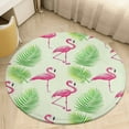 thumbnail image 1 of Flamingo Pattern Washable Round Rug -Circle Area Rugs for Nursery Bedroom, Vintage Non Slip Non Shedding Low Pile Carpet for Living Room Coffee Table Entryway, 1 of 6