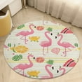 thumbnail image 1 of Flamingo Pattern Washable Round Rug -Circle Area Rugs for Nursery Bedroom, Vintage Non Slip Non Shedding Low Pile Carpet for Living Room Coffee Table Entryway, 1 of 6