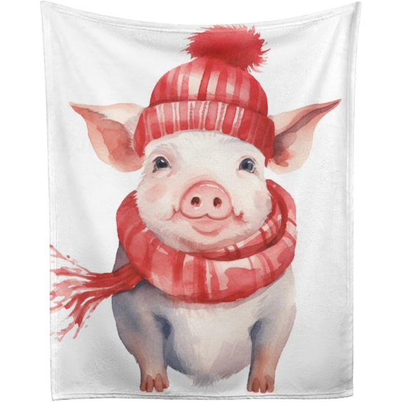 Flamingo Reflection Sunset Super Soft Winter Comfy Throw Blanket Flannel Fleece Lightweight Blanket for Couch Car Bed 50x60 in