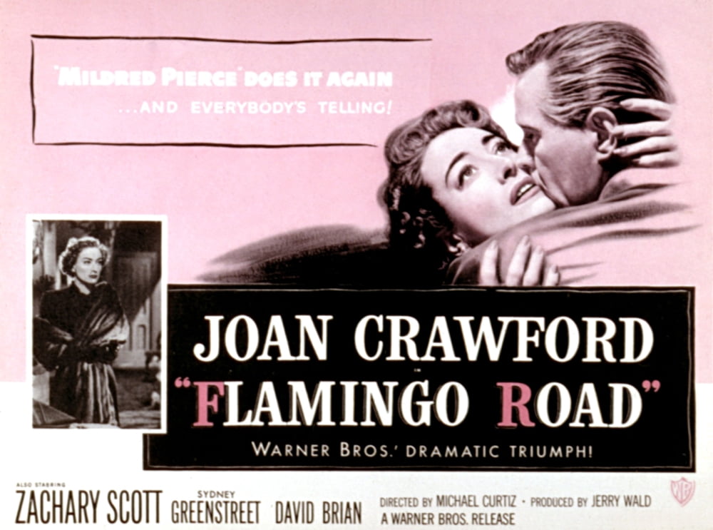 Flamingo Road Canvas Art - (28 x 22)