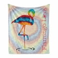 thumbnail image 1 of Flamingo Soft Flannel Fleece Blanket, Single Flamingo Rainbow Color Tie Dye Effect Background Animal World Artwork Print, Cozy Plush for Indoor and Outdoor Use, 50" x 70", Multicolor, by Ambesonne, 1 of 6