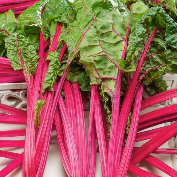 Flamingo Swiss Chard Seeds - 3 g Packet ~100 Seeds - Non-GMO - Vegetable Garden, Growing Microgreens - Beta vulgaris