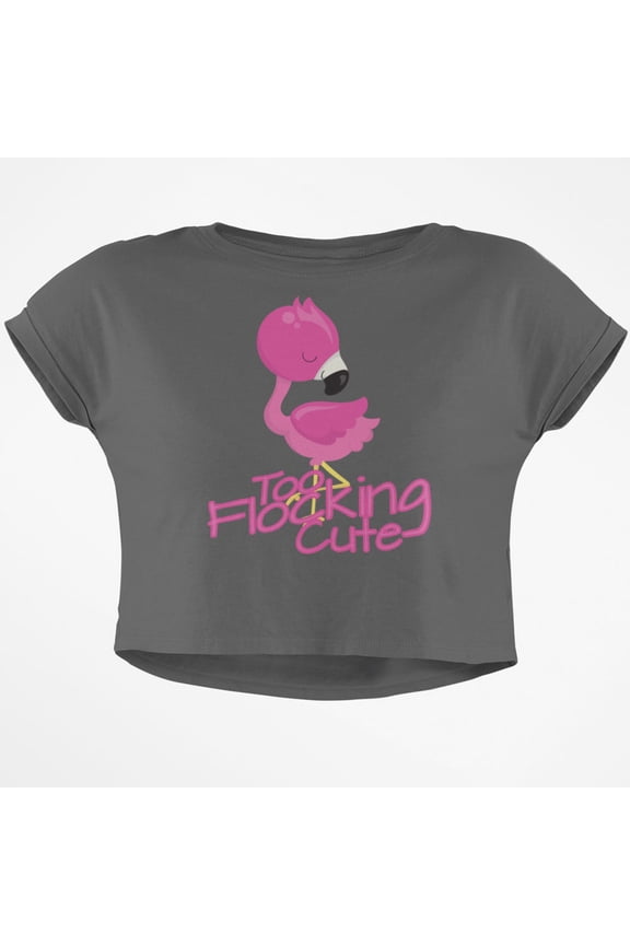 Flamingo Too Flocking Cute Junior Boxy Crop Top T Shirt