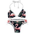 thumbnail image 1 of Flamingo Tropical Rainforest Swim Suit Bikini Set with Detachable Sponge & Adjustable Strap, Two-Pack - Ideal for Beach & Pool Parties!, 1 of 1