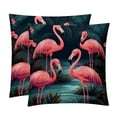 thumbnail image 1 of Flamingo Velvet Throw Pillow Covers Set with Unique Patterns - 16x16, 18x18, 20x20 Inches - 2 Throw Pillow Inserts & Covers for Any Occasion, 1 of 6