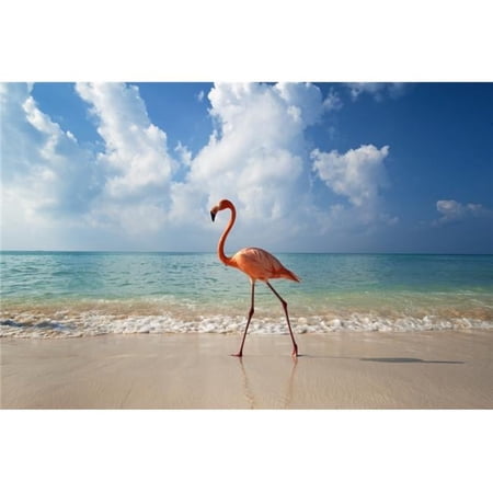Flamingo Walking Along Beach Poster Print, 34 x 22 - Large