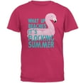 thumbnail image 1 of Flamingo What Up Beaches It's Flocking Summer Funny Pun Mens T Shirt, 1 of 1