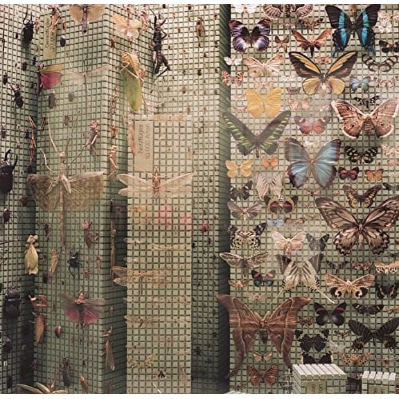 Flamingo - Flamingo - Music & Performance - CD