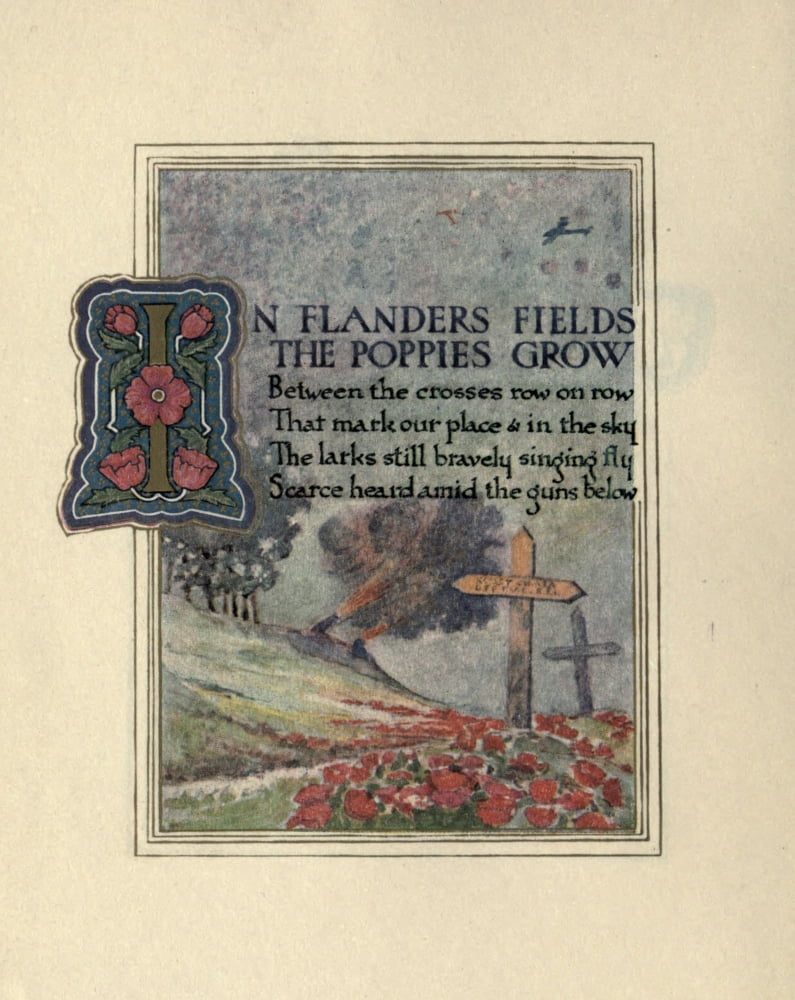 Flanders Fields 1921 Poppies grow Canvas Art - Ernest Clegg (24 x 36)