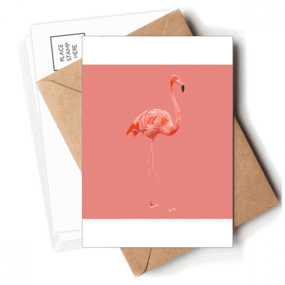 Flango Red Body Fashion Postcards Envelopes Blank Note Cards Mailing