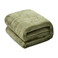 thumbnail image 1 of Flannel Fleece Blanket - Soft Lightweight Plush Microfiber Bed Blanket for Sofa Or Couch, Machine Washable Blankets Fleeces, Green 70*100Cm Ciozy, 1 of 9