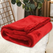 Flannel Throw Blanket, Soft Warm Velvet Plaid for Winter, All Season Air Conditioning Lap Blanket for Couch BedD
