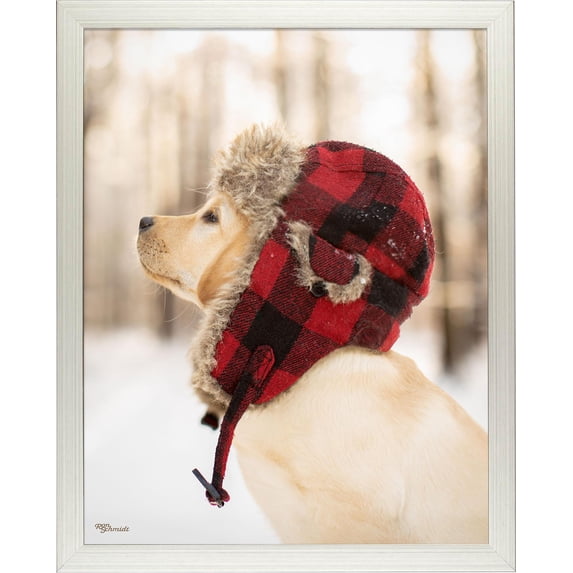 Flannel—Yellow Lab