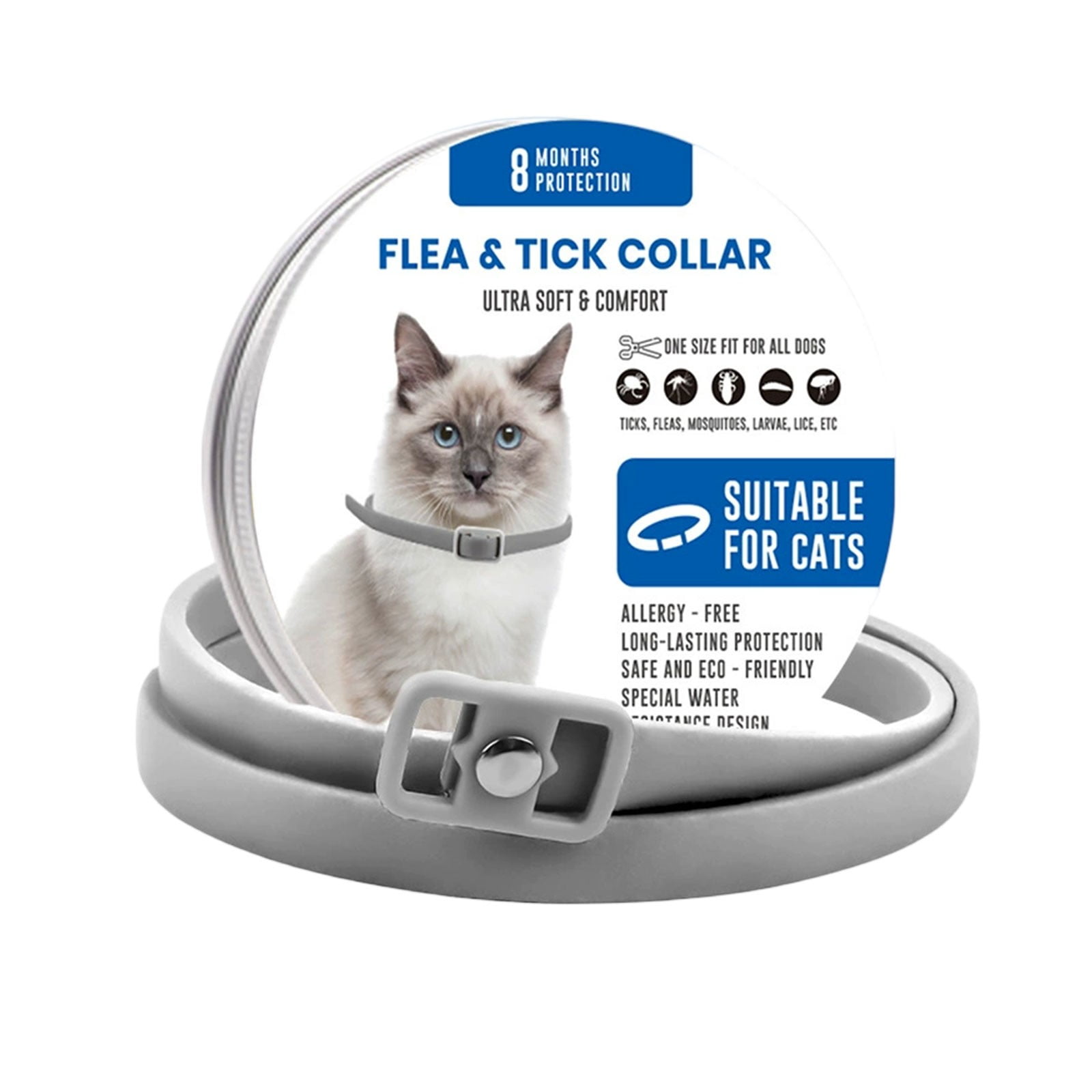 Image showcasing Motion Sensor Air Cans for Cats: Improve Indoor Air Quality