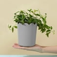 thumbnail image 1 of Plant Pots, InsCrazy Planter, Petals Mouth Resin Flower Pot with Bottom Drag Thickened Plastic Frosted Flower Pot Home Planting Pot Suitable for Most Plants, 1 of 6