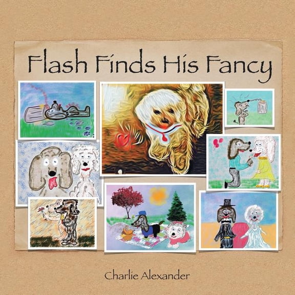 Flash Finds His Fancy (Paperback)