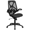 thumbnail image 1 of Flash Furniture High Back Transparent Black Mesh Executive Ergonomic Office Chair with Adjustable Lumbar, 2-Paddle Control & Flip-Up Arms, 1 of 8