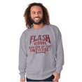 thumbnail image 1 of Flash Gordon Logo Vintage Comic Hero Unisex Plus Size Sweatshirt Brisco Brands 4X, 1 of 6
