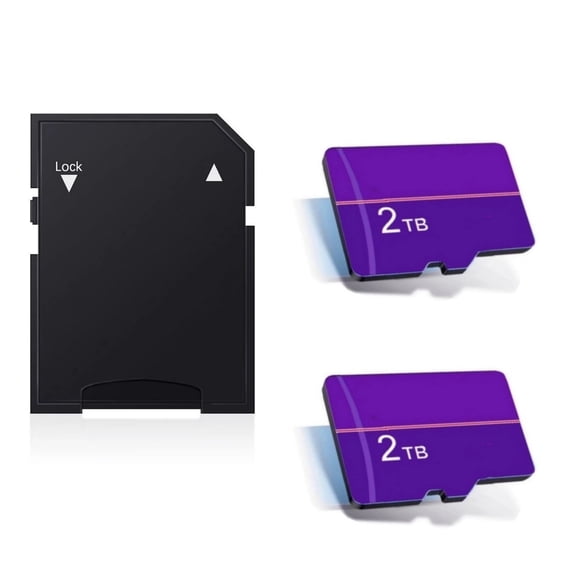 Flash Memory Card with Adapter, 2 Total Count