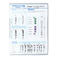 Flash Sale Flute Fingering Chart 8 Holes Chord Chart Chord